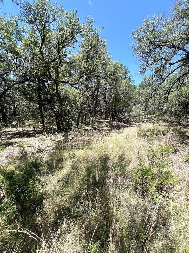 8.92 acres in Uvalde County featured view