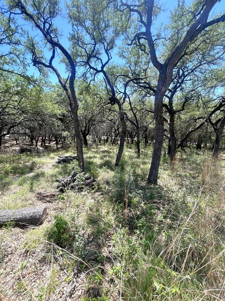 8.92 acres in Uvalde County - photo 26