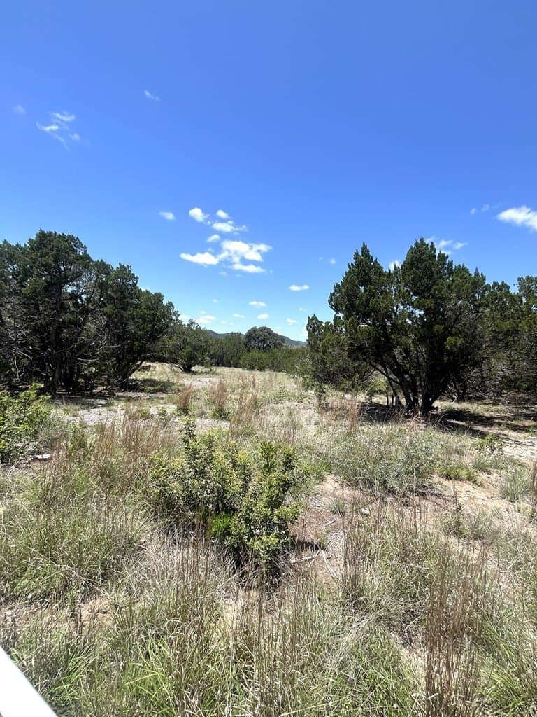 8.92 acres in Uvalde County - photo 20