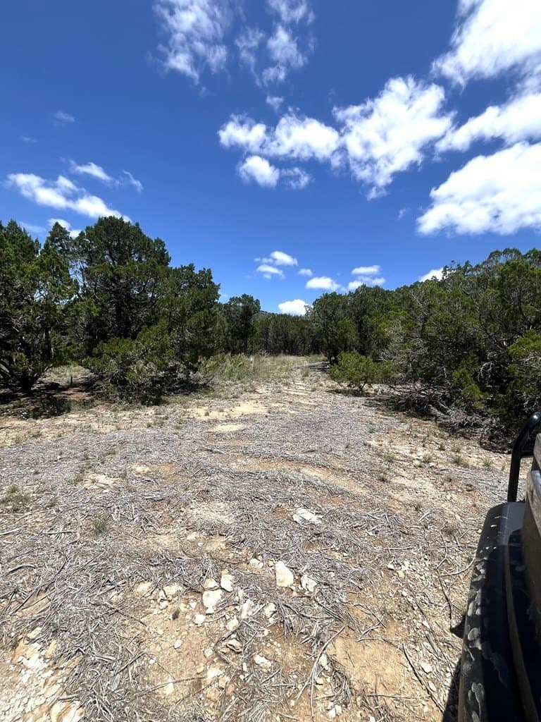 8.92 acres in Uvalde County - photo 19