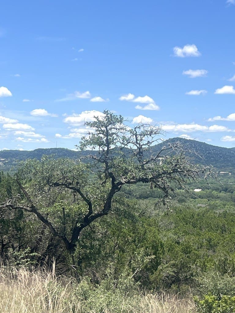 8.92 acres in Uvalde County - photo 21