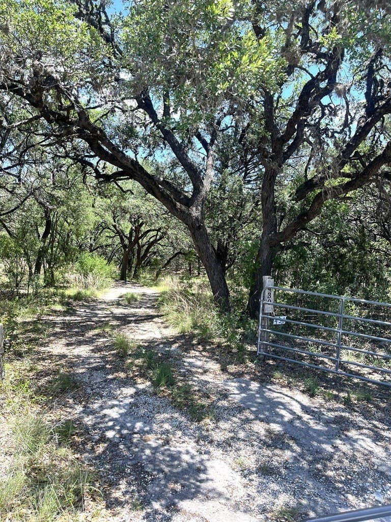 8.92 acres in Uvalde County gallery image 2