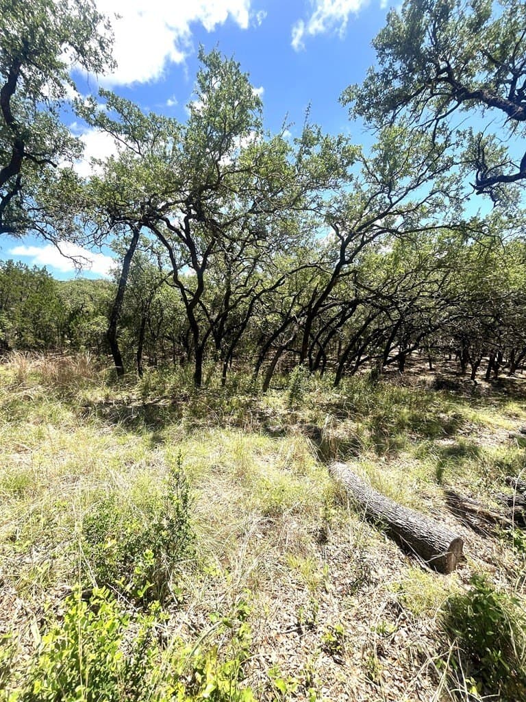 8.92 acres in Uvalde County - photo 27