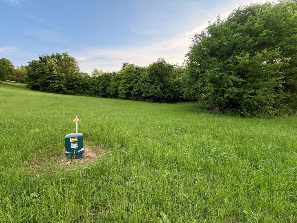 3.01 acres in Henderson County gallery image 2