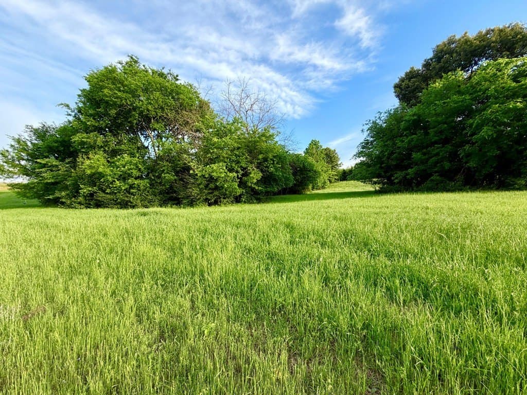 3.01 acres in Henderson County gallery image 3