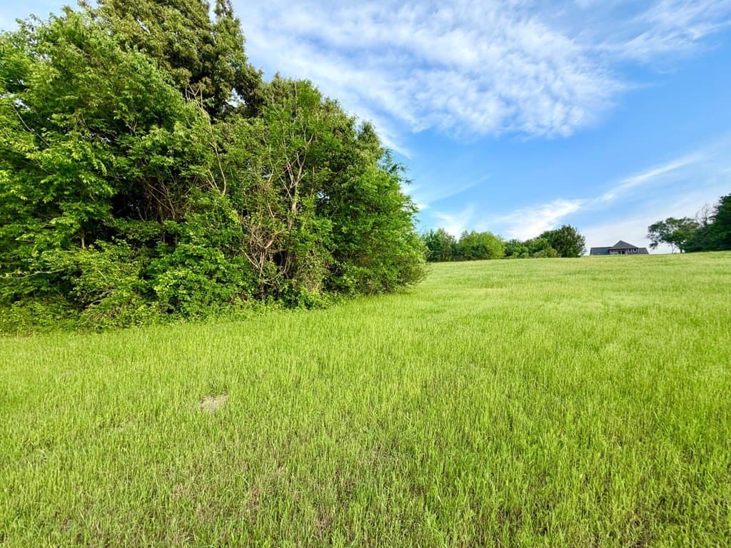 3.01 acres in Henderson County gallery image 4