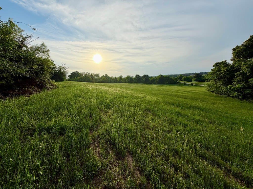3.01 acres in Henderson County featured view