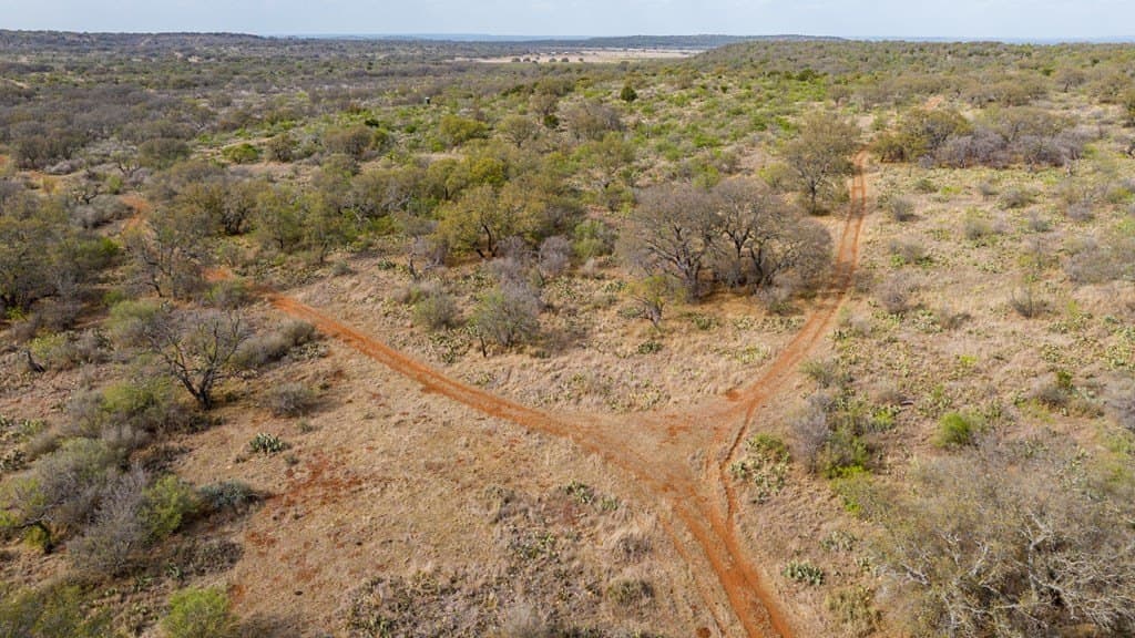 601.55 acres in Mason County gallery image 2