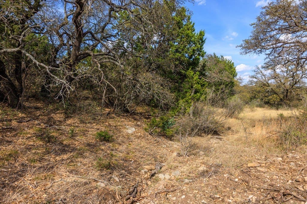 601.55 acres in Mason County gallery image 3