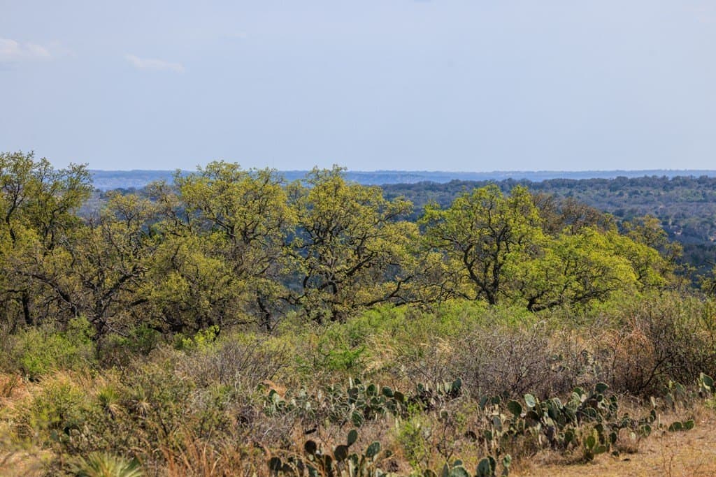 601.55 acres in Mason County gallery image 4