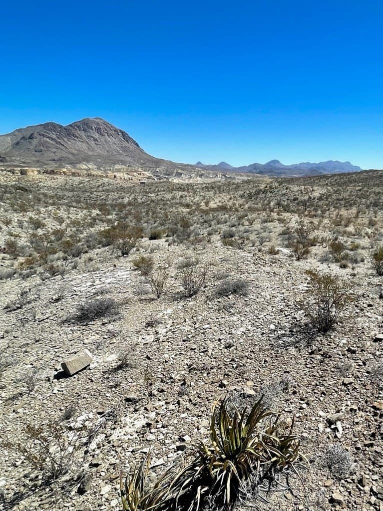 20 acres in Brewster County gallery image 3