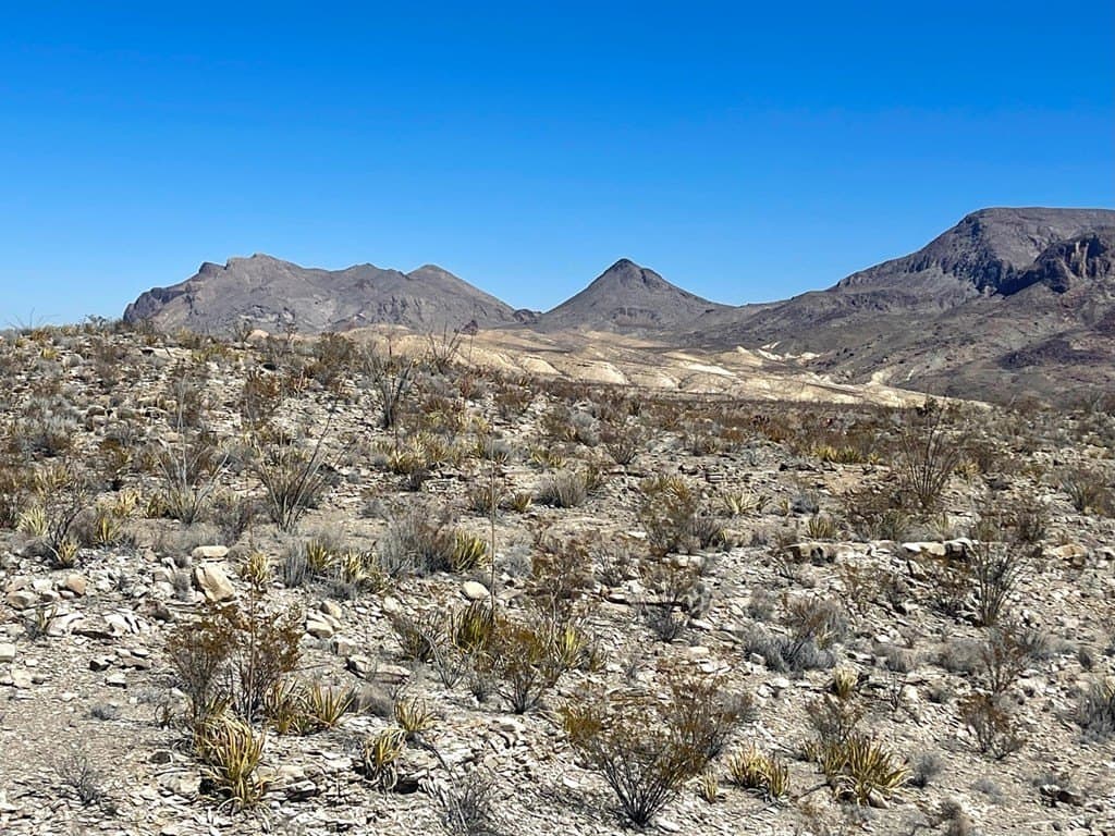 20 acres in Brewster County gallery image 4