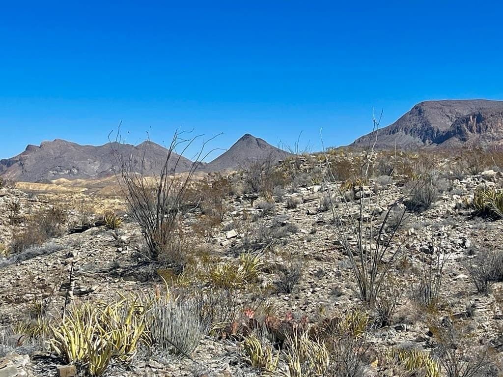 20 acres in Brewster County