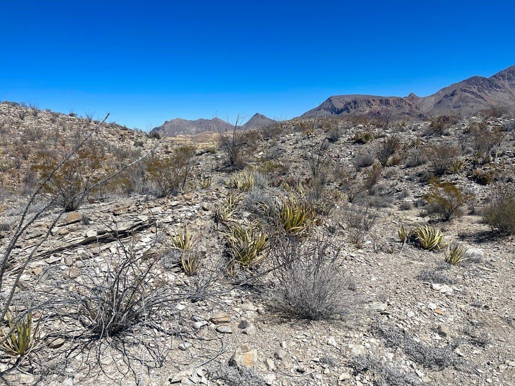 20 acres in Brewster County - photo 10