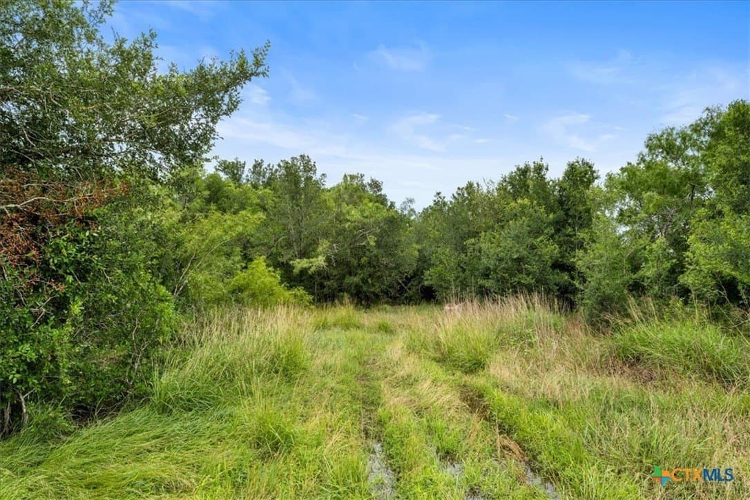 87.63 acres in Bastrop County - photo 19