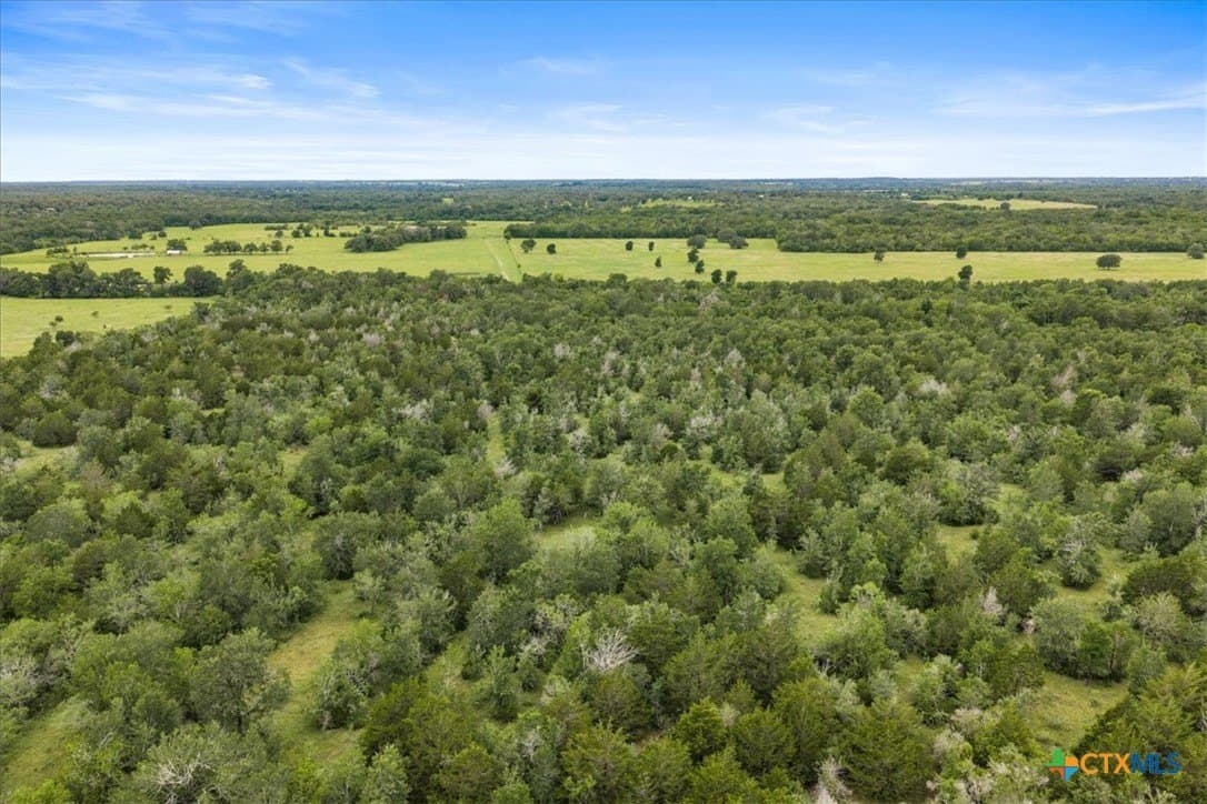 87.63 acres in Bastrop County gallery image 2