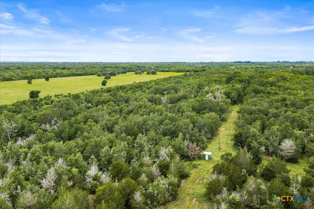 87.63 acres in Bastrop County gallery image 3