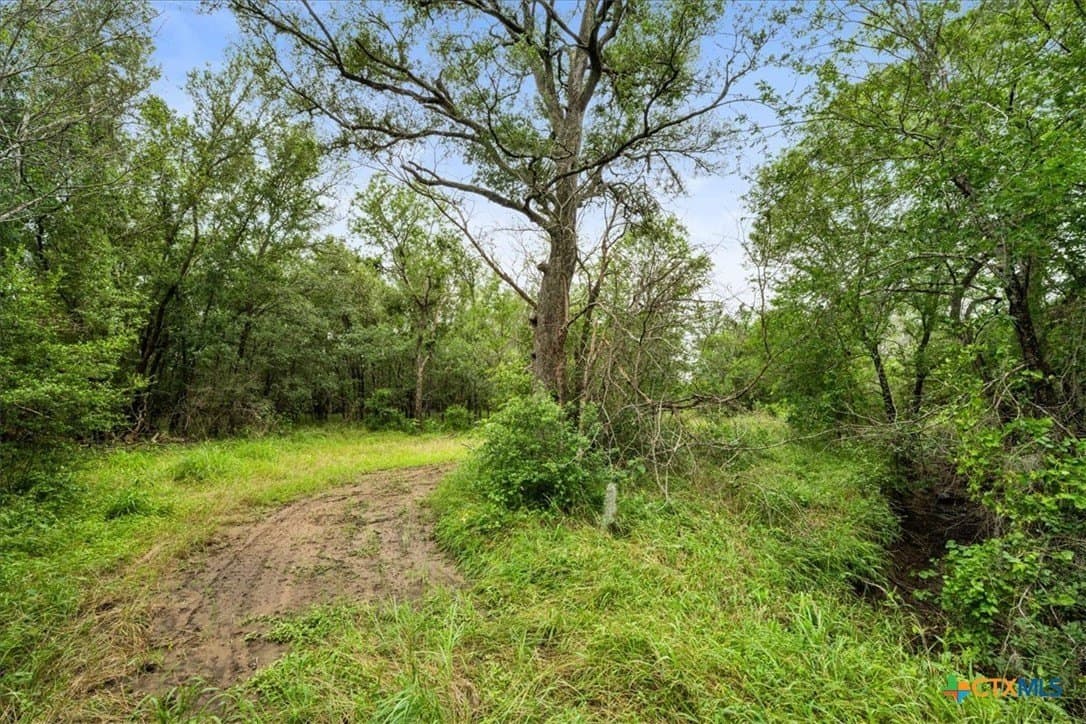 87.63 acres in Bastrop County - photo 21