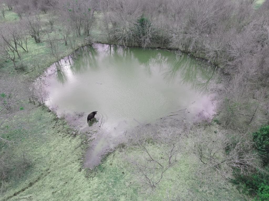 35.88 acres in Hill County gallery image 3