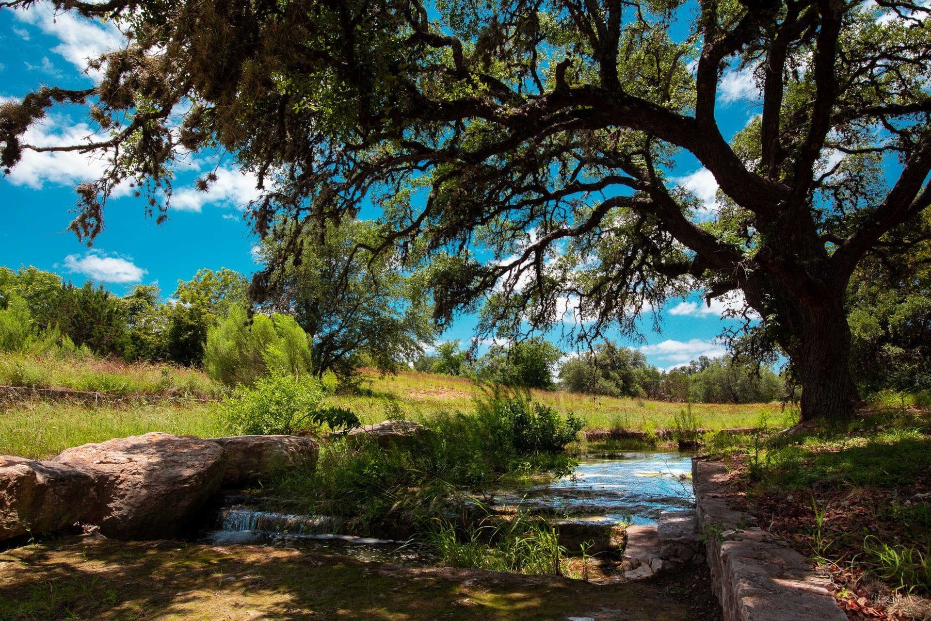 5.3 acres in Blanco County - photo 36