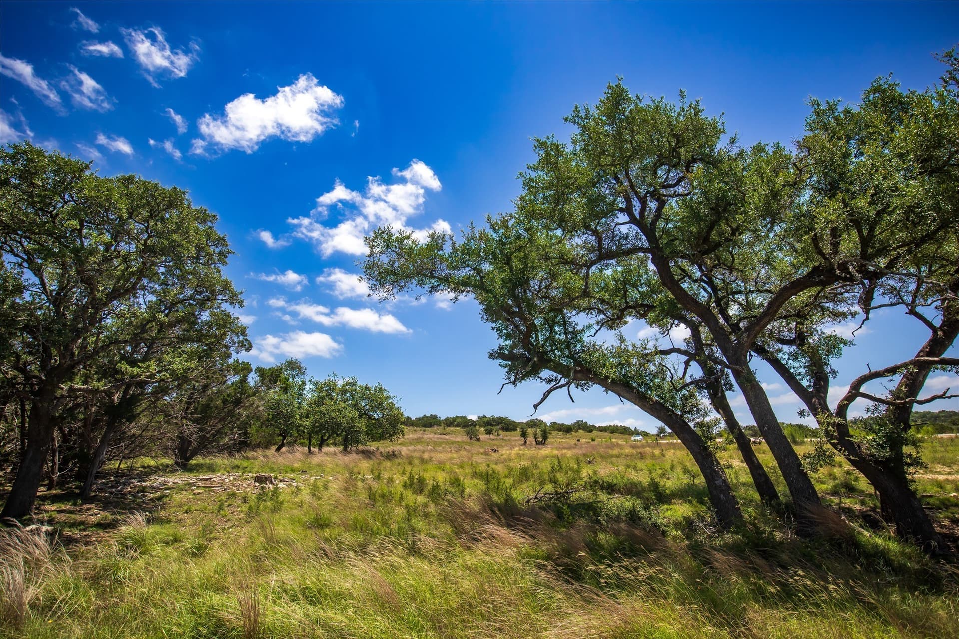 5.3 acres in Blanco County - photo 11