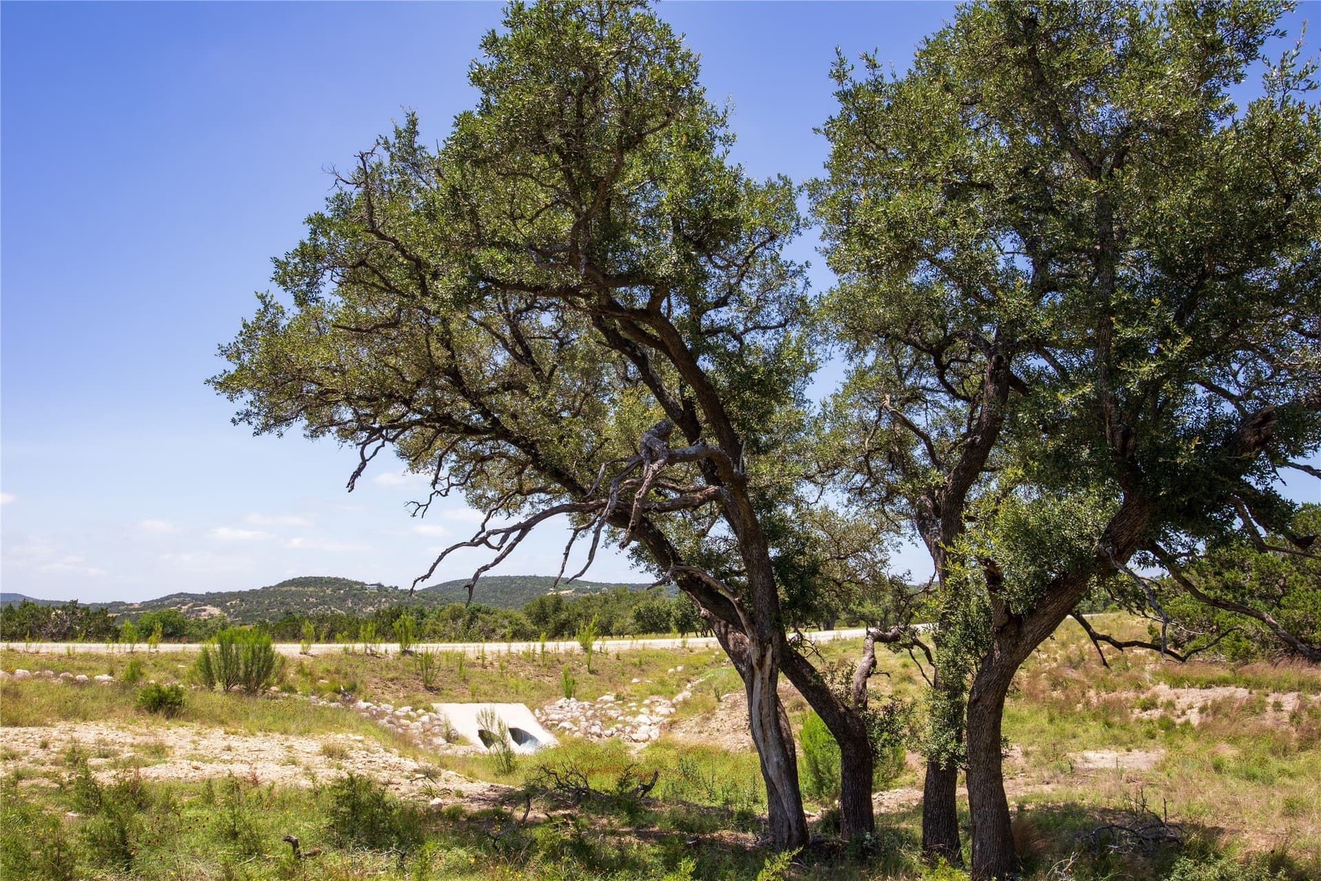 5.3 acres in Blanco County - photo 12
