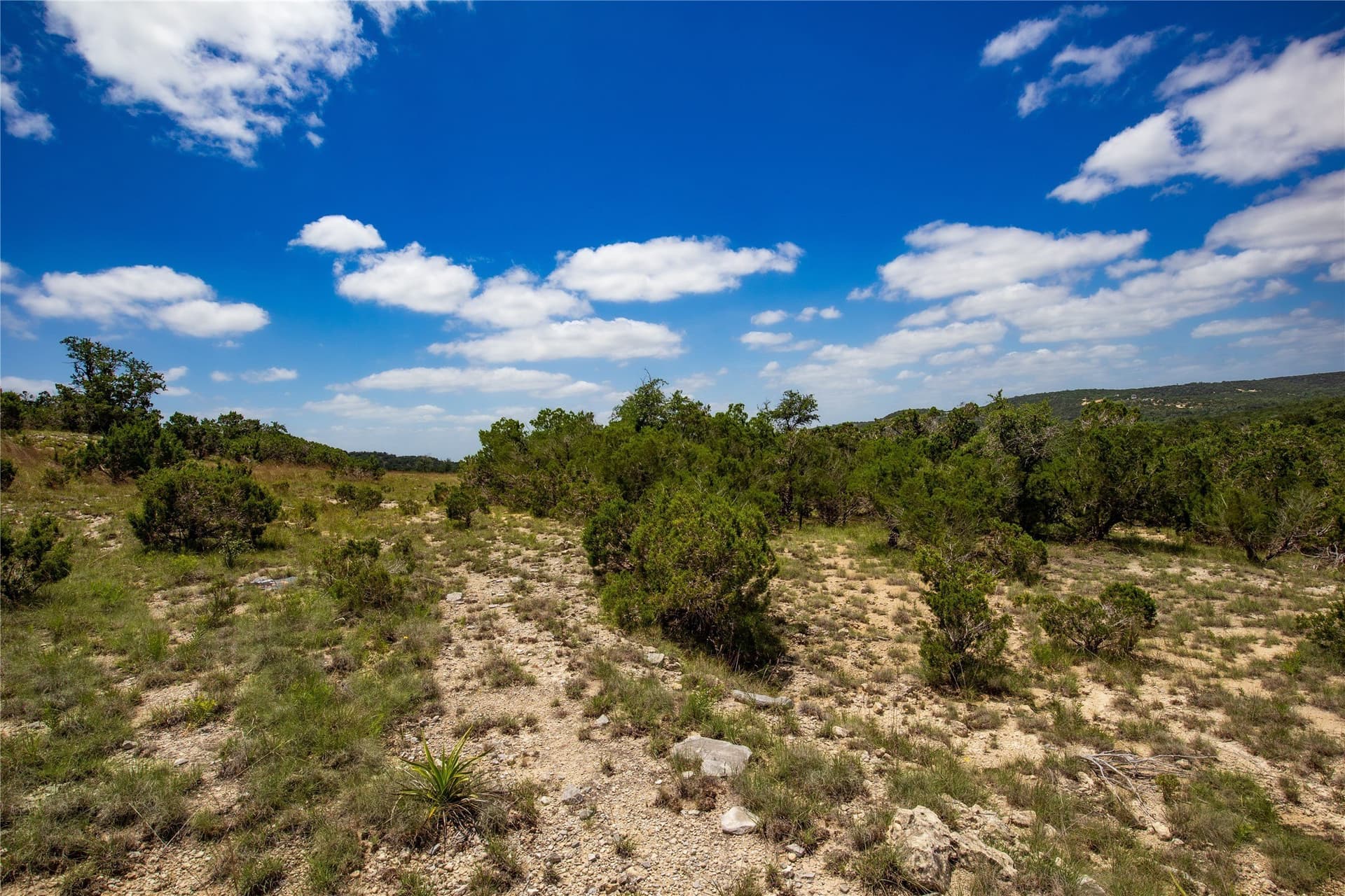 5.3 acres in Blanco County - photo 24