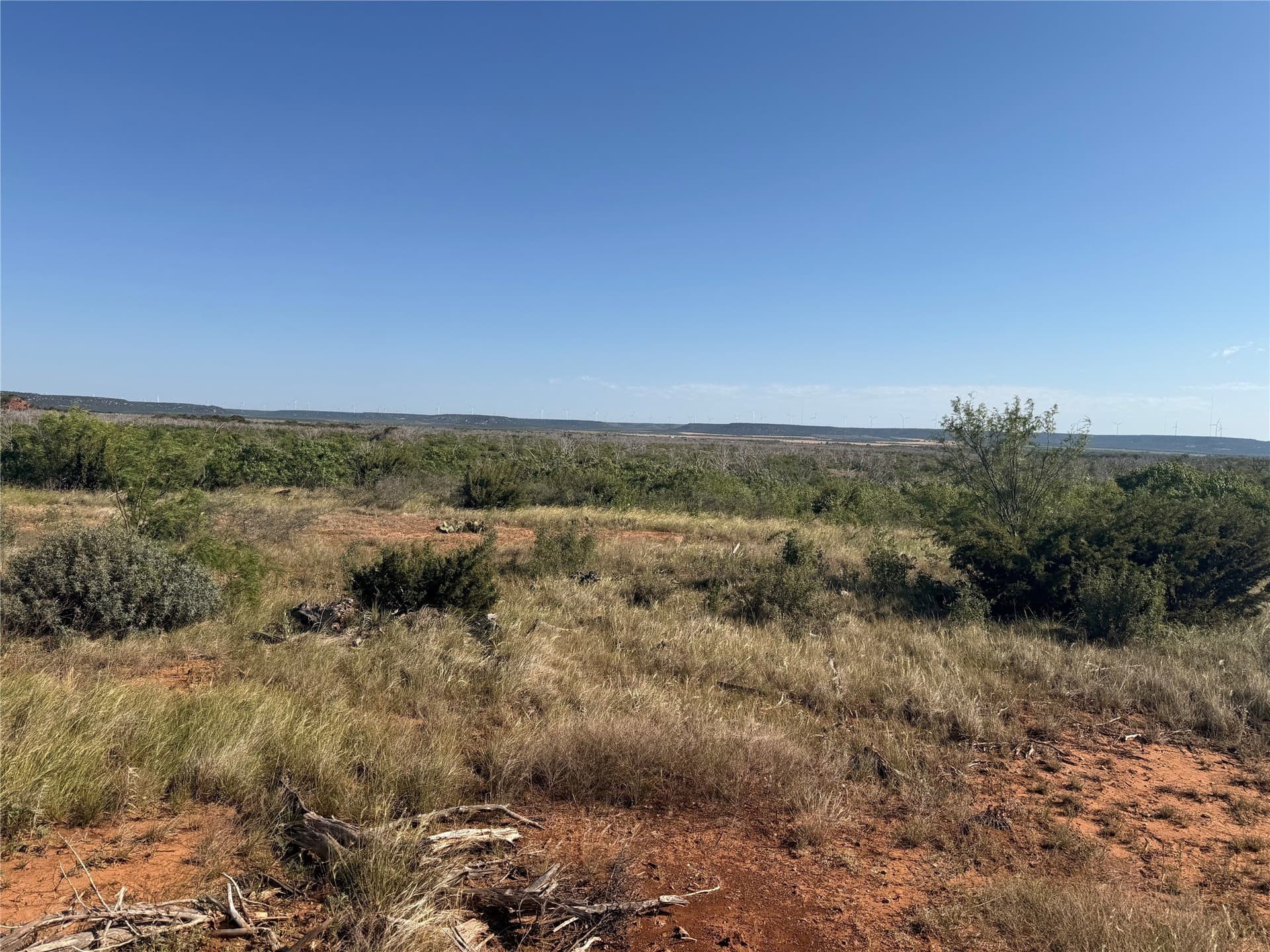 58 acres in Taylor County - photo 6