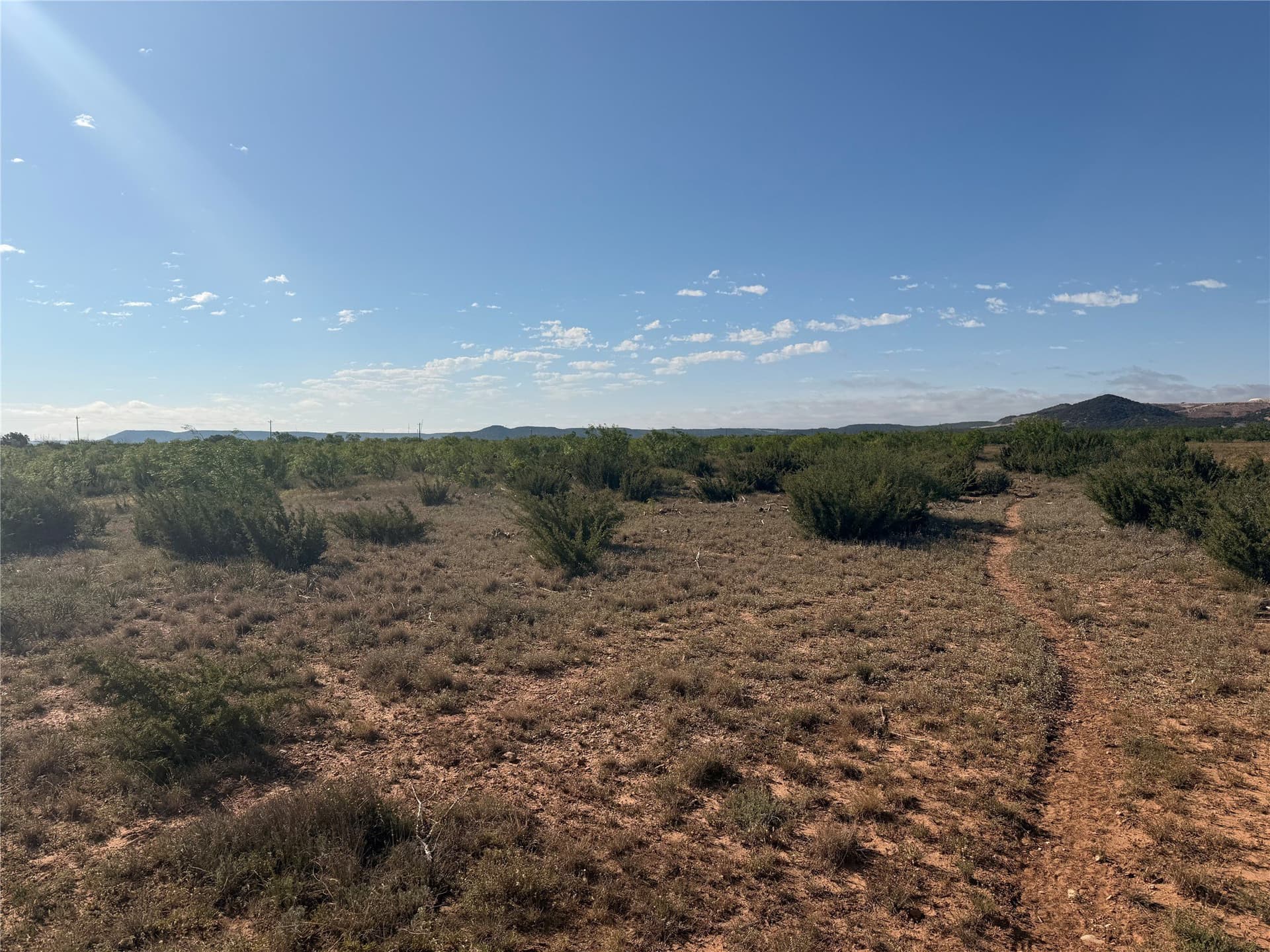 58 acres in Taylor County