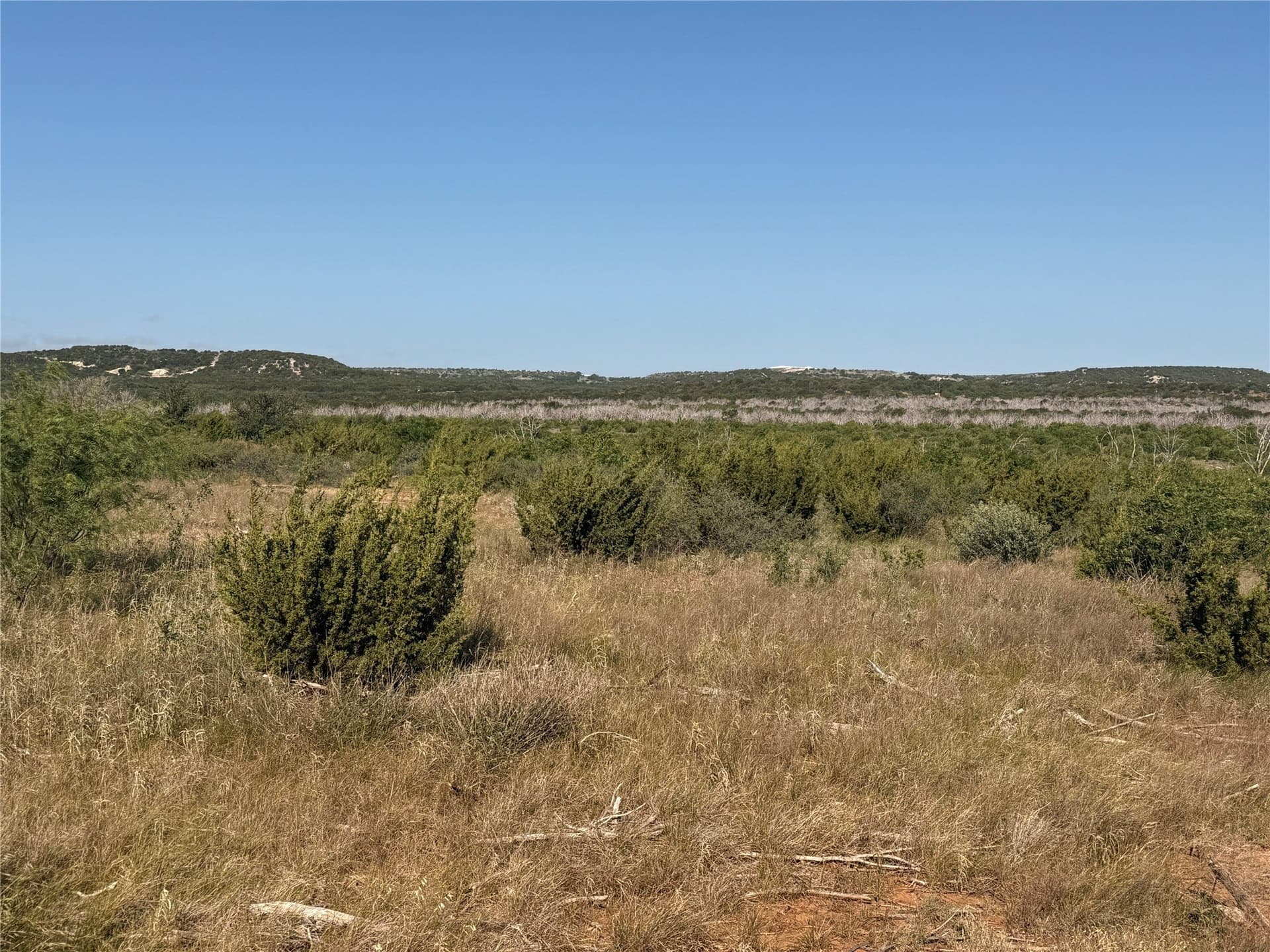58 acres in Taylor County - photo 7