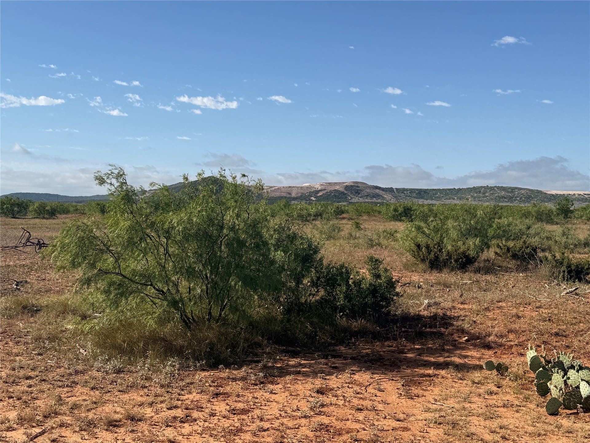 58 acres in Taylor County - photo 8