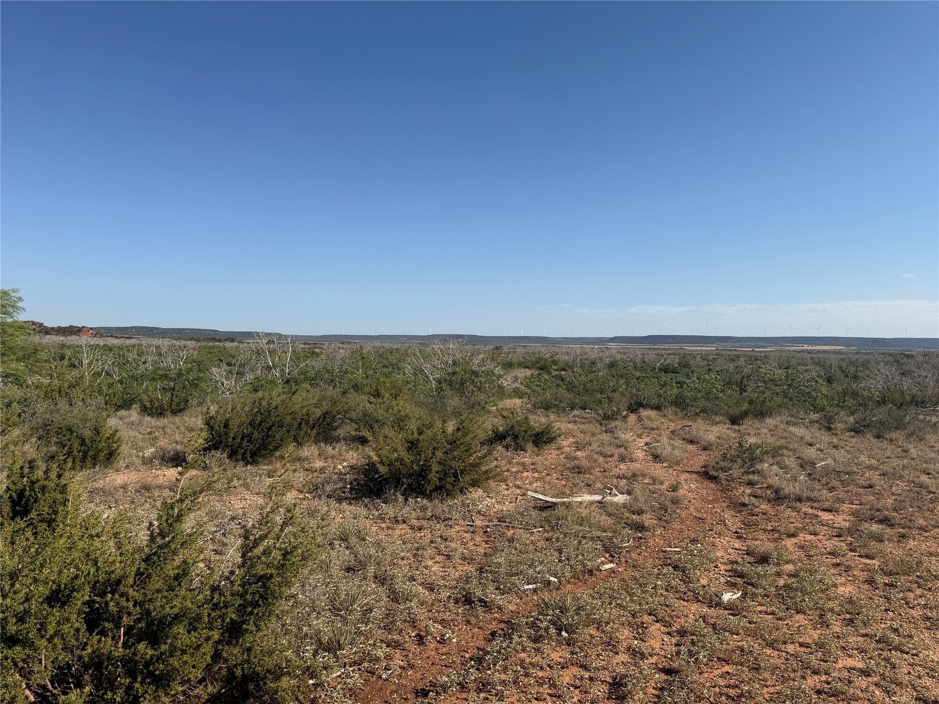 58 acres in Taylor County - photo 5