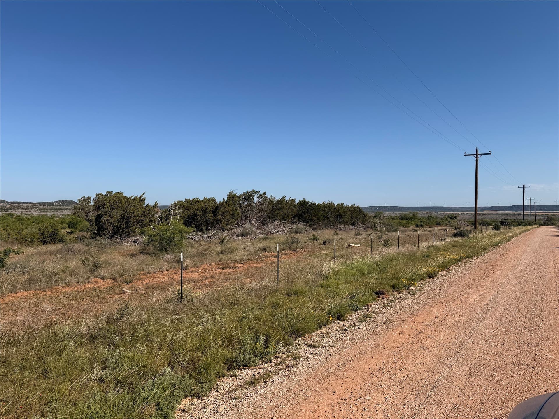 58 acres in Taylor County - photo 3