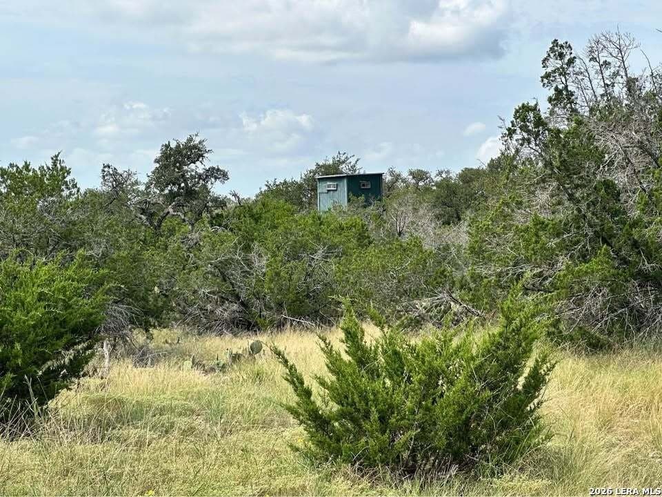 40 acres in Edwards County - photo 38