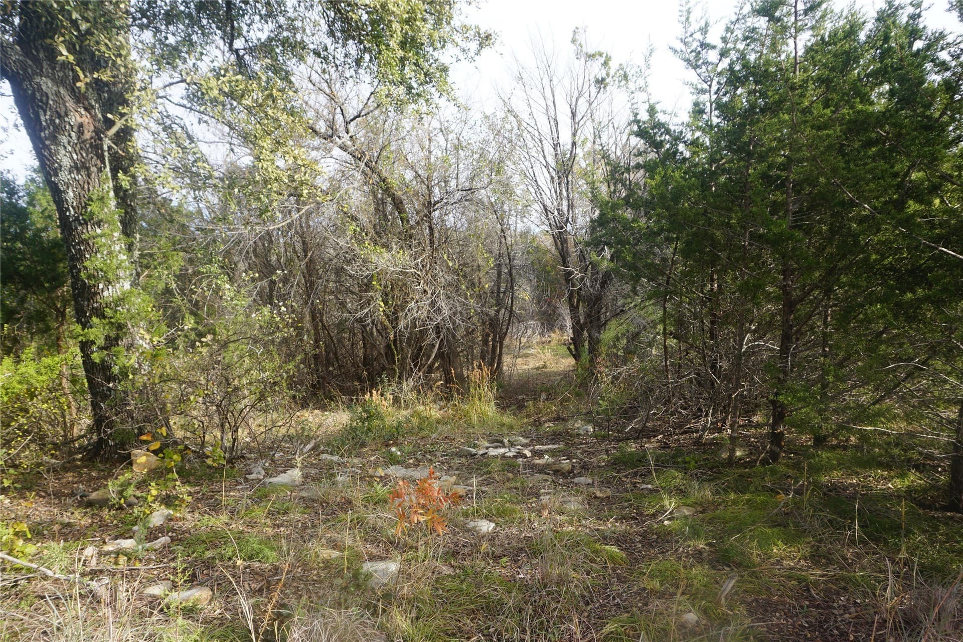 4.02 acres in Palo Pinto County - photo 10