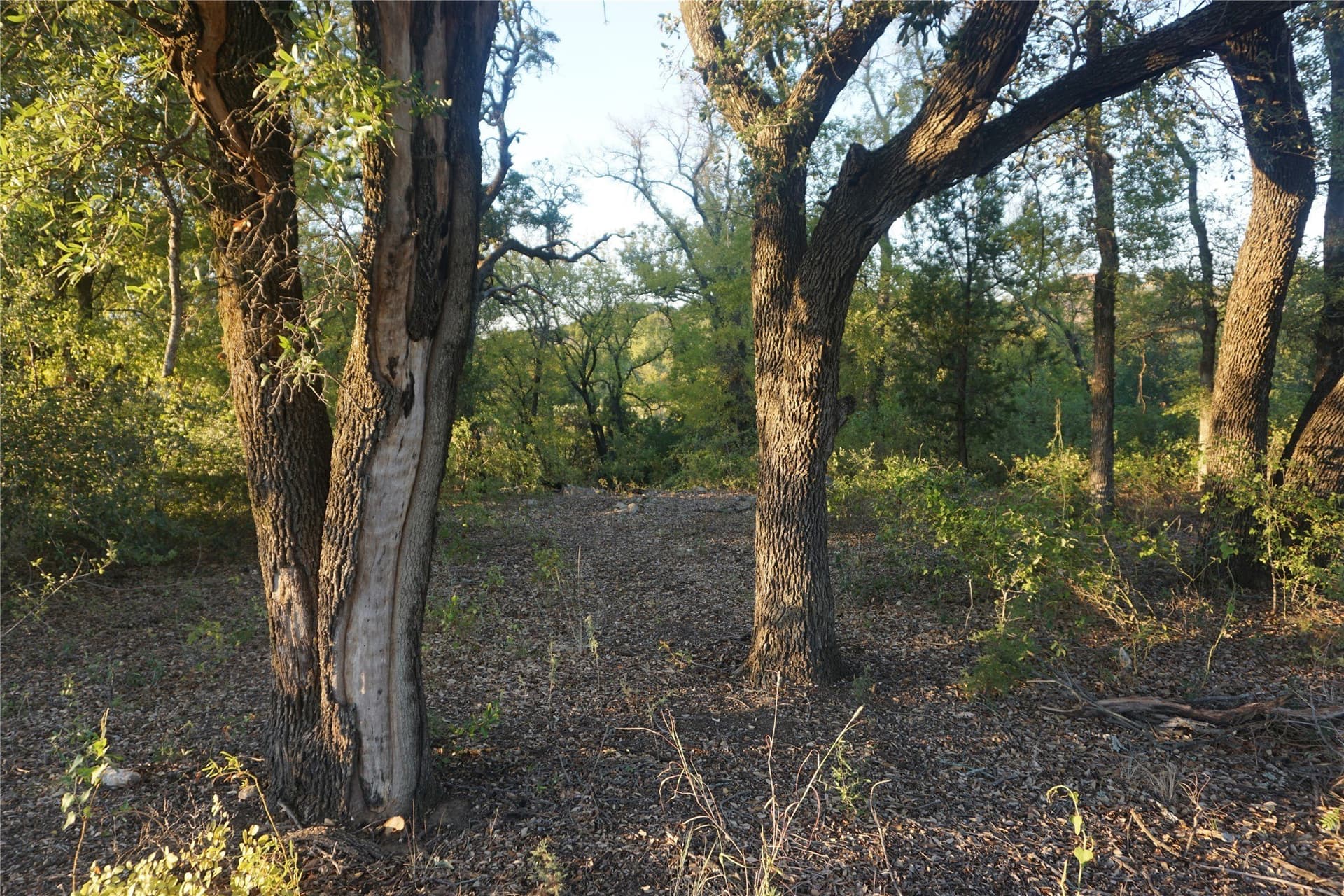 4.02 acres in Palo Pinto County - photo 9