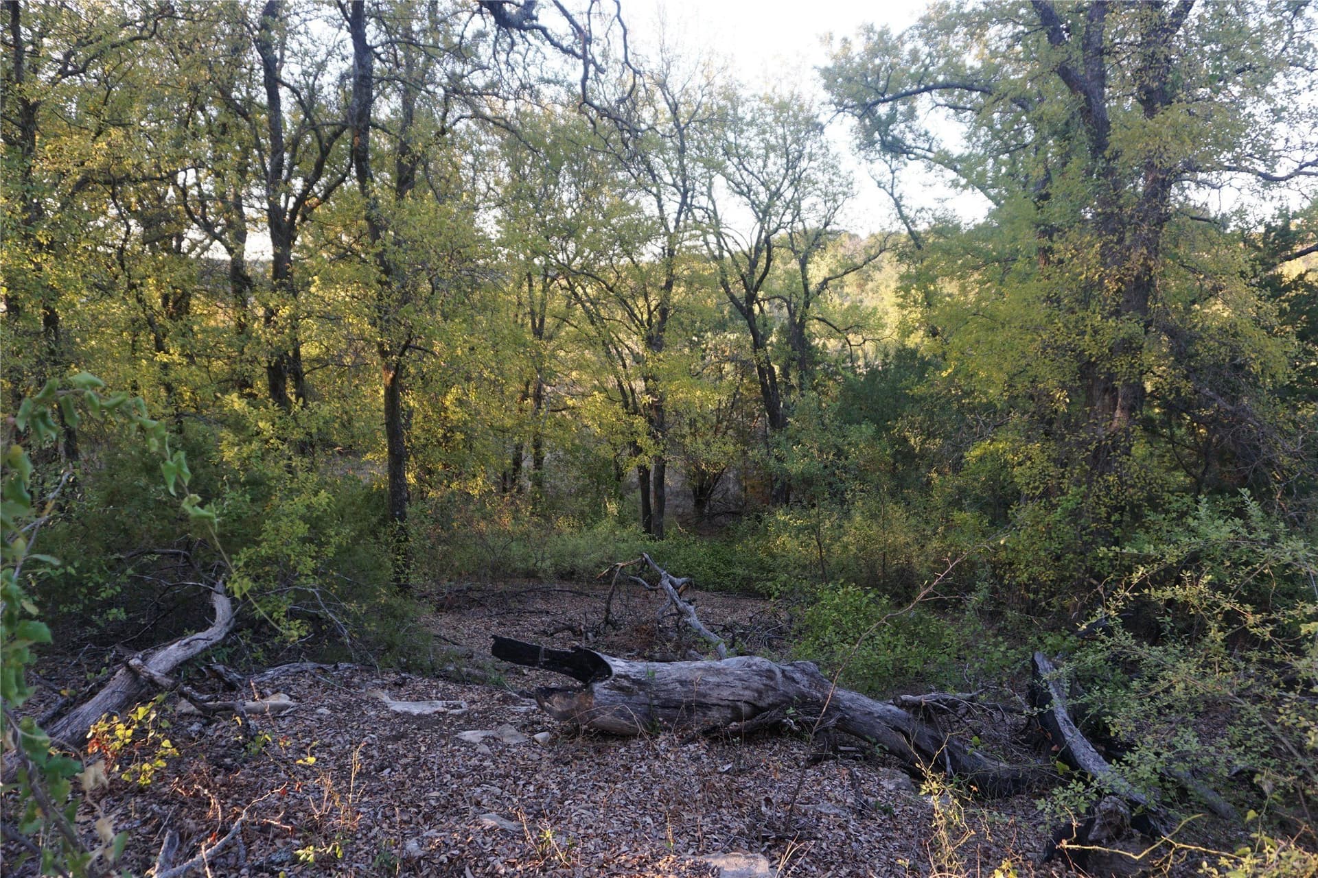 4.02 acres in Palo Pinto County - photo 13