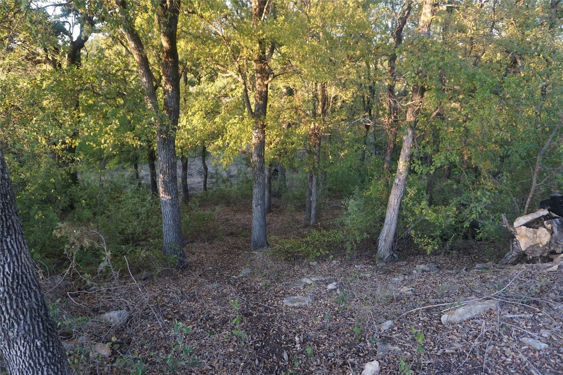 4.02 acres in Palo Pinto County - photo 12
