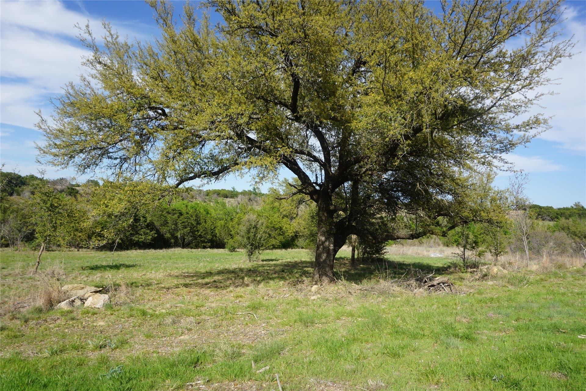 4.02 acres in Palo Pinto County - photo 7