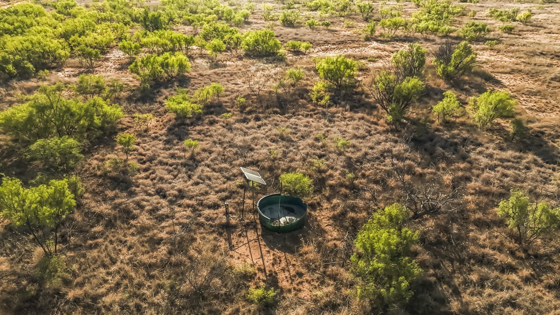 624 acres in Garza County - photo 9