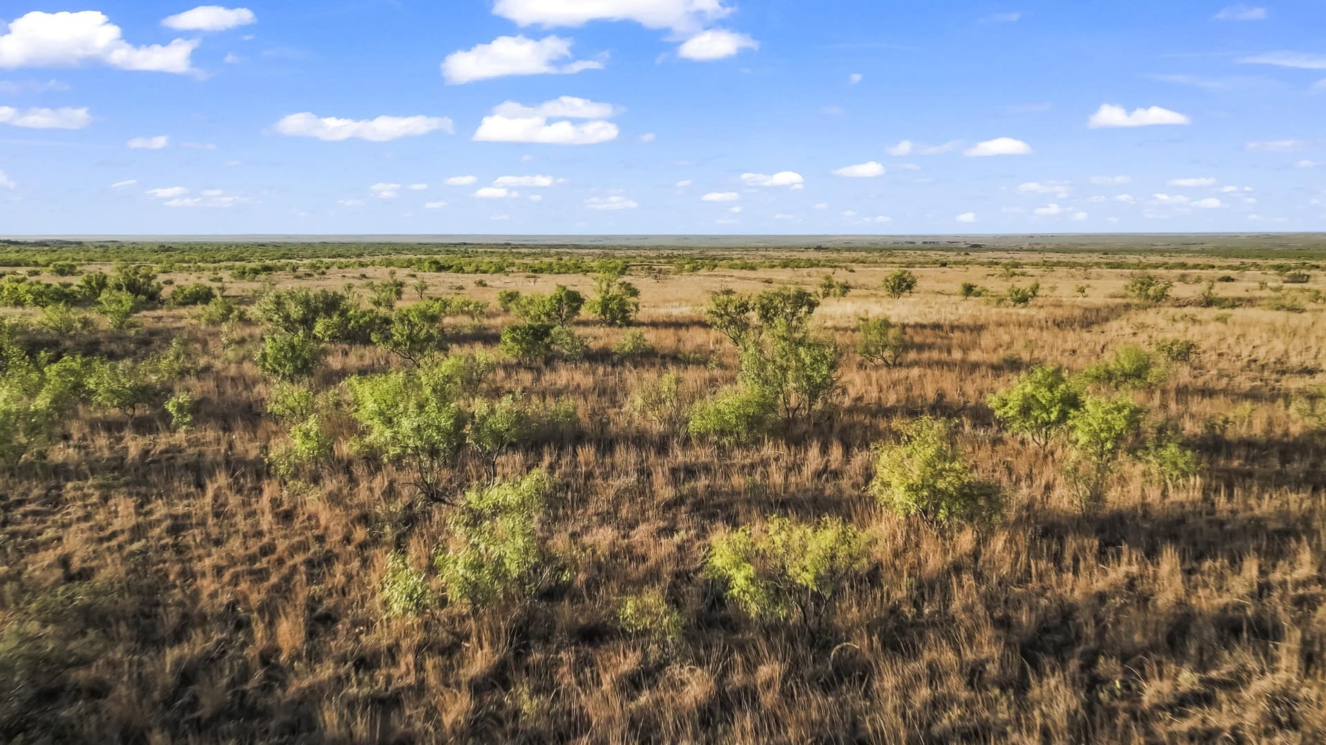 624 acres in Garza County - photo 10