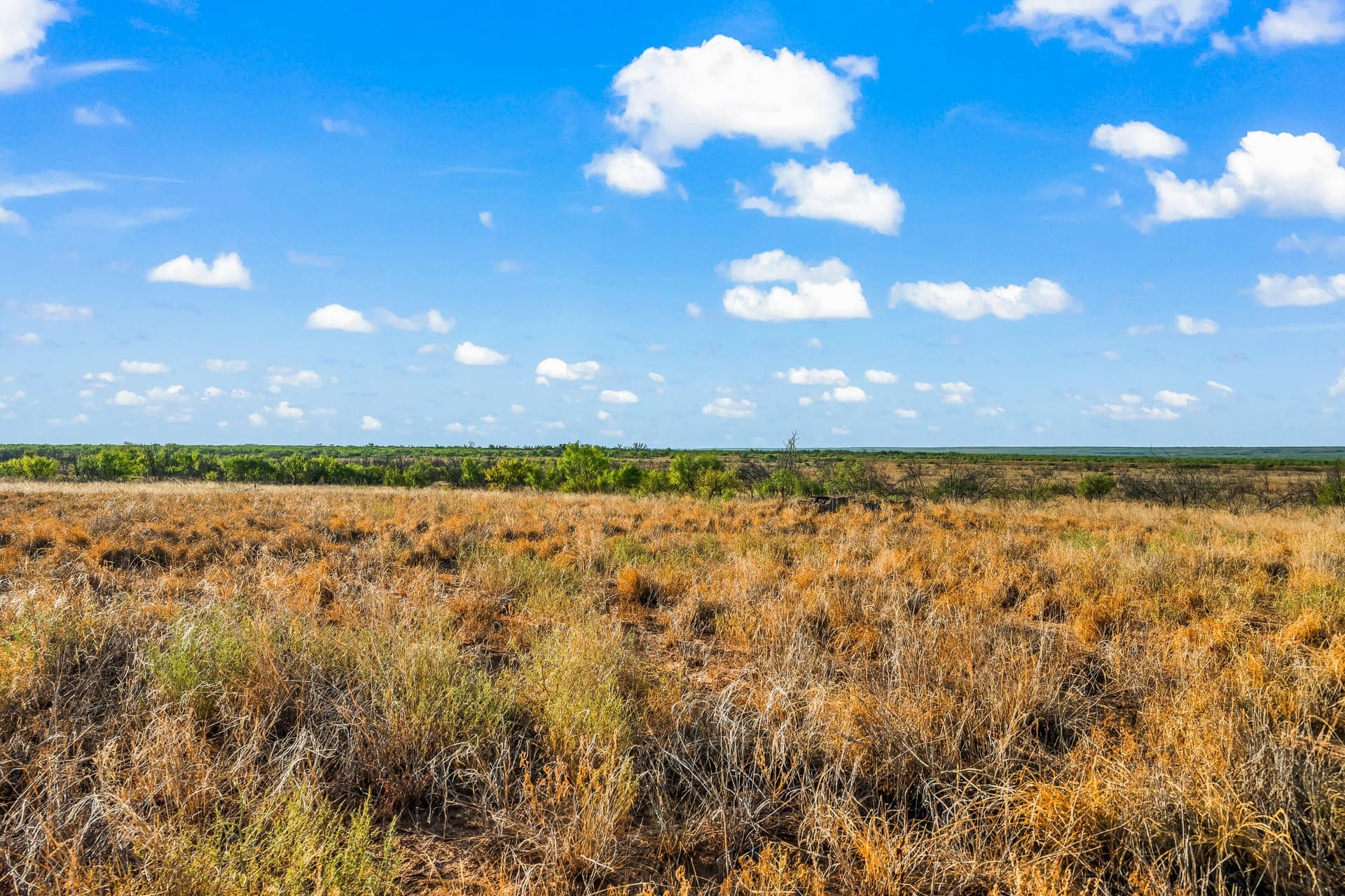 624 acres in Garza County - photo 21