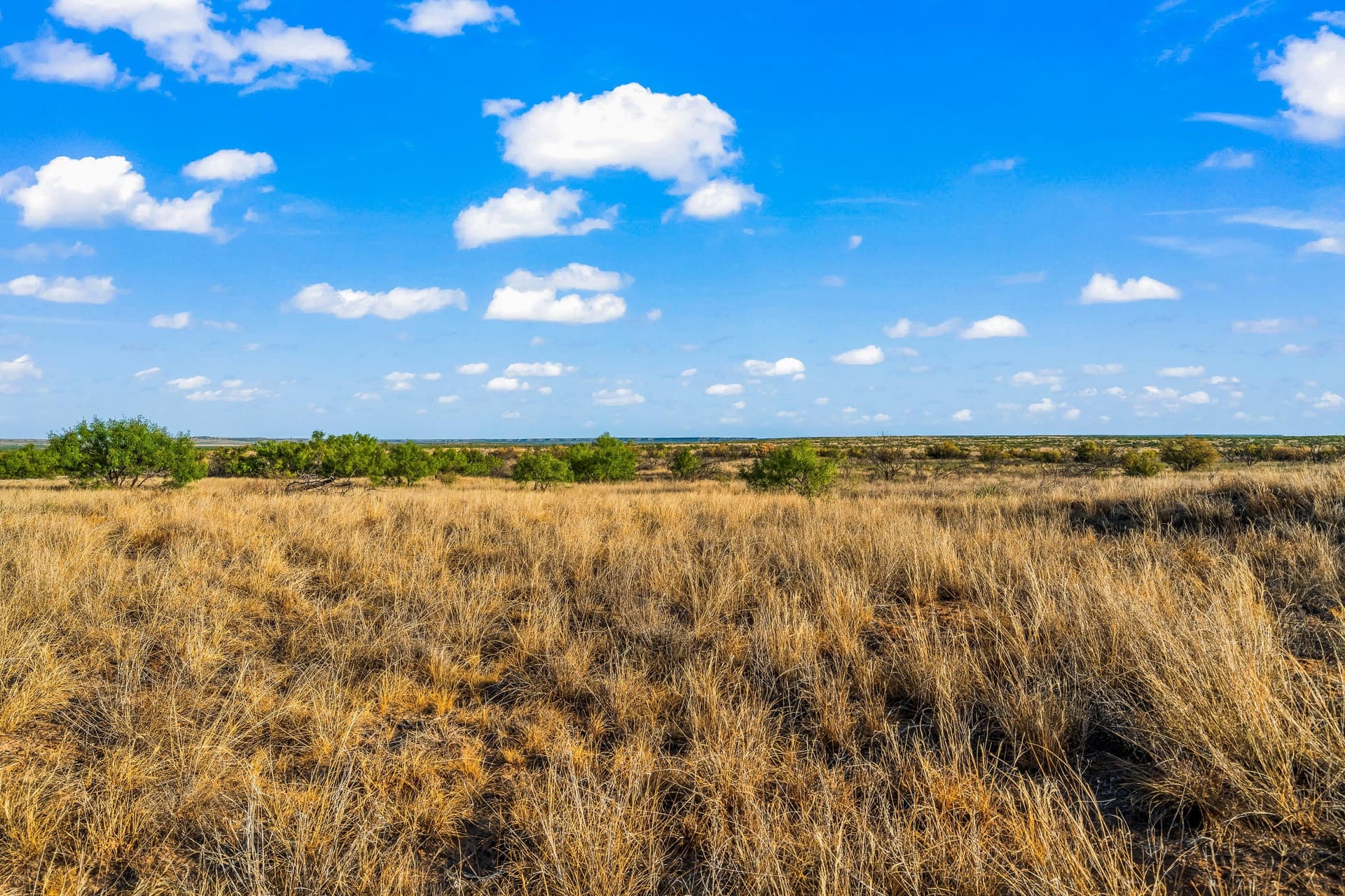 624 acres in Garza County - photo 18