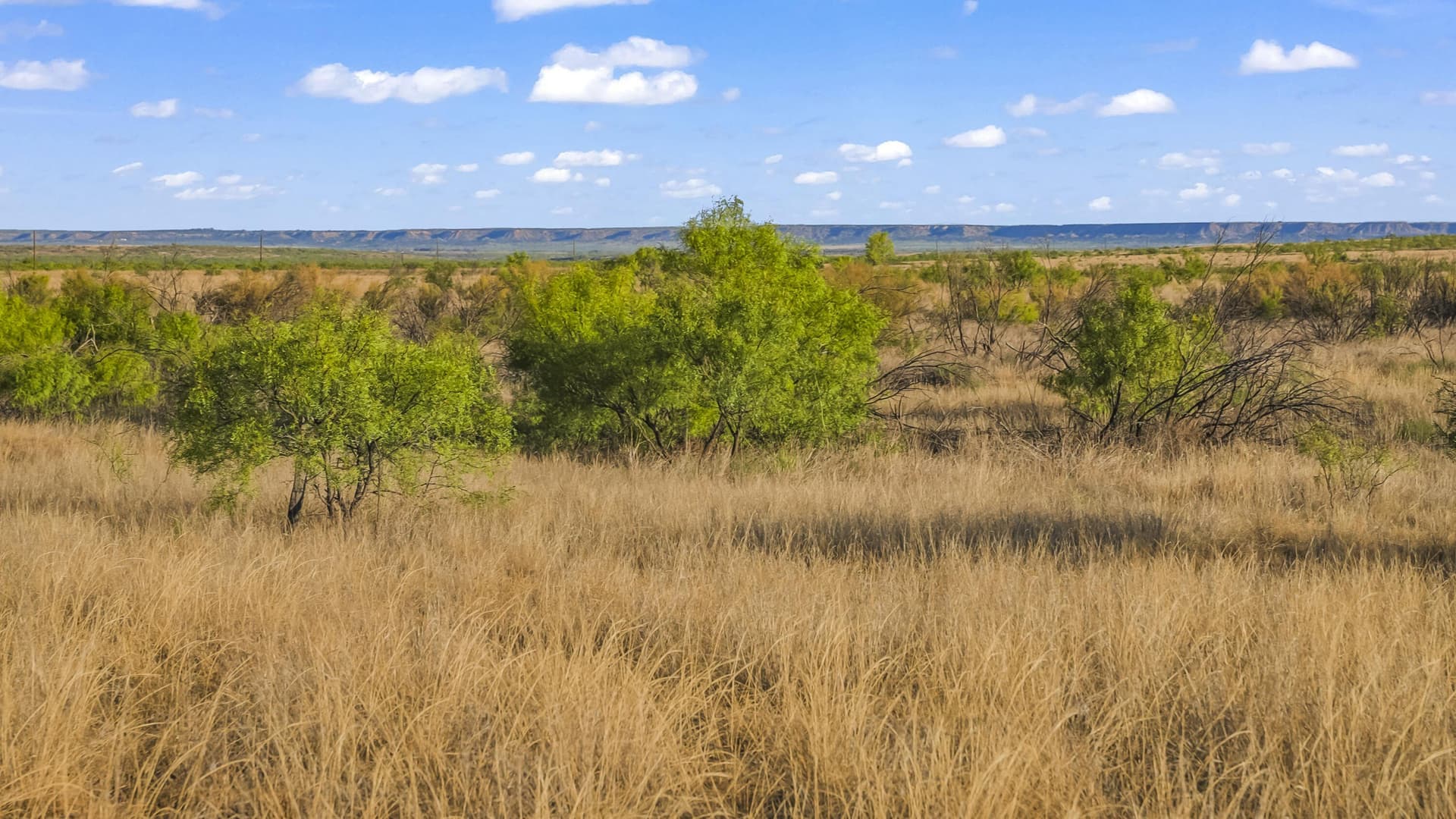 624 acres in Garza County - photo 3