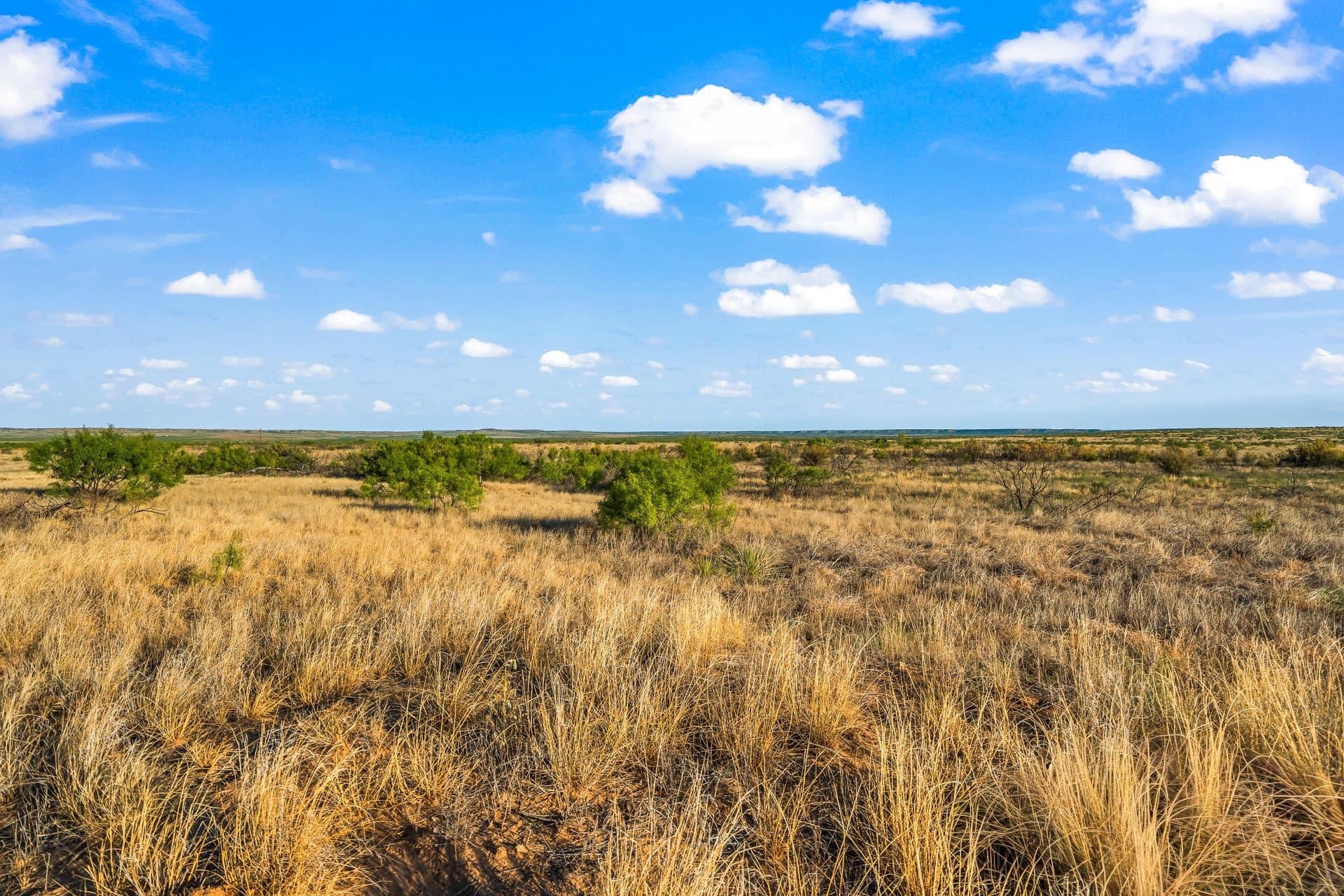 624 acres in Garza County - photo 19