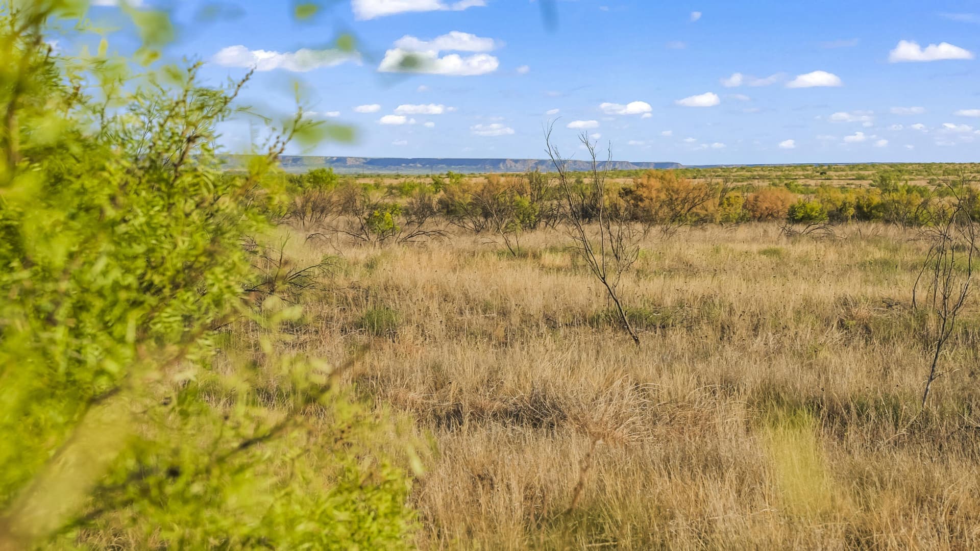 624 acres in Garza County - photo 4