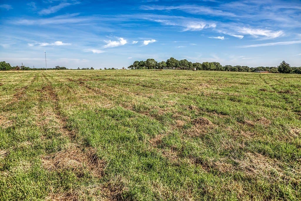 10 acres in Washington County gallery image 4
