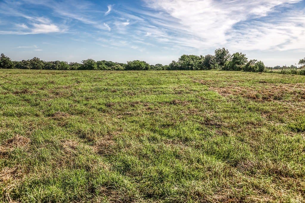 10 acres in Washington County gallery image 2