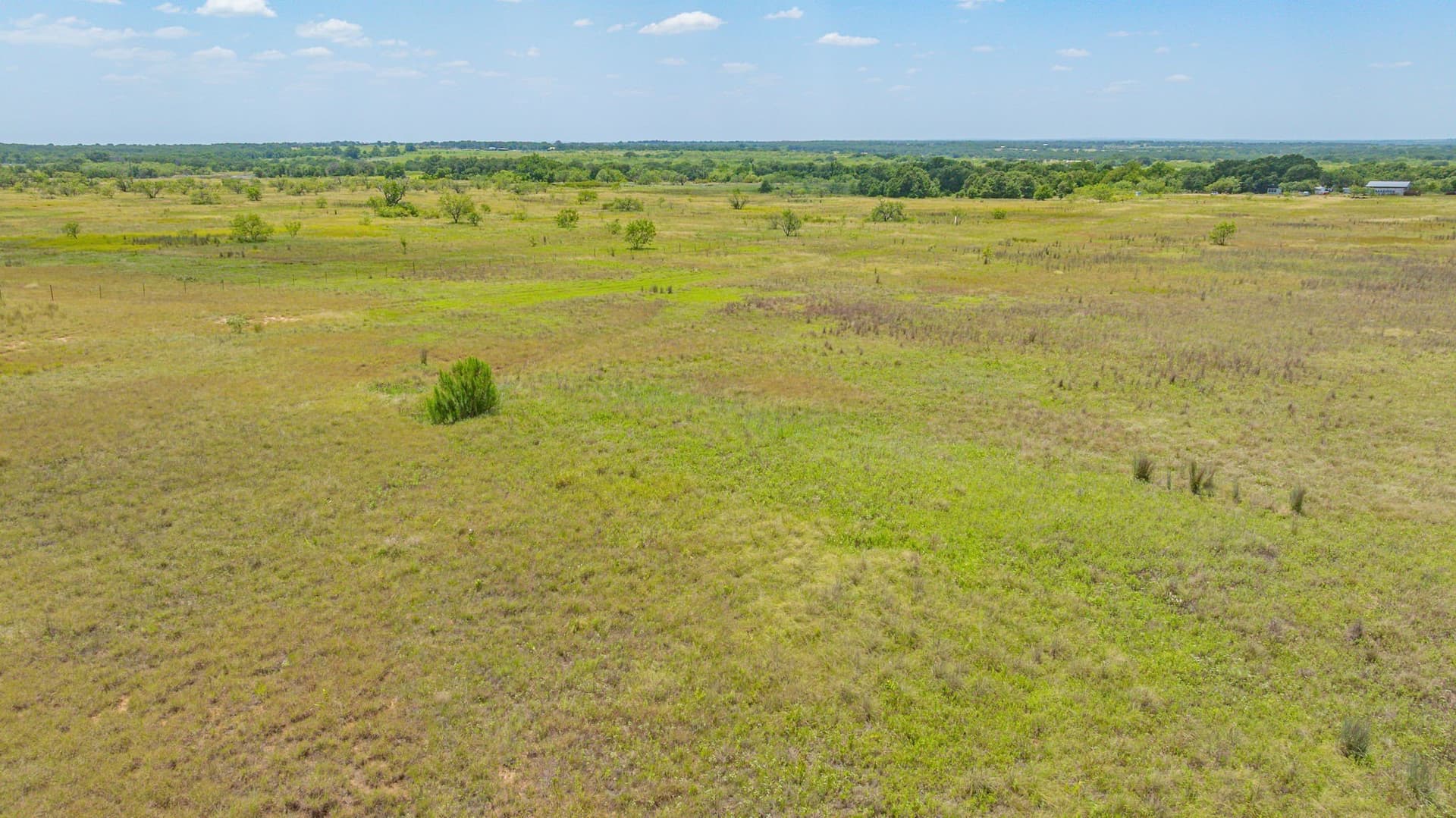 80 acres in Eastland County - photo 12