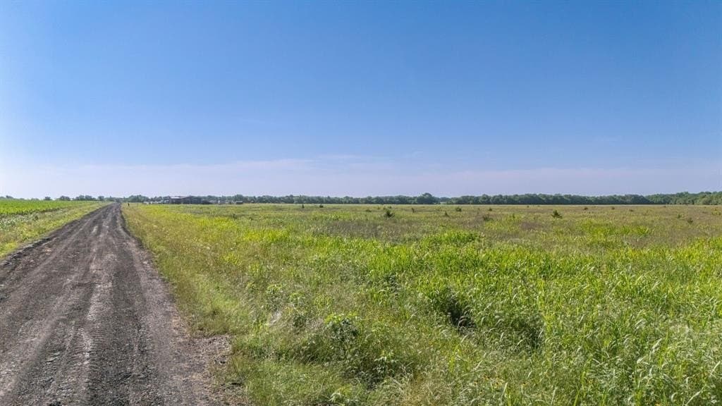 50.09 acres in Hunt County gallery image 4